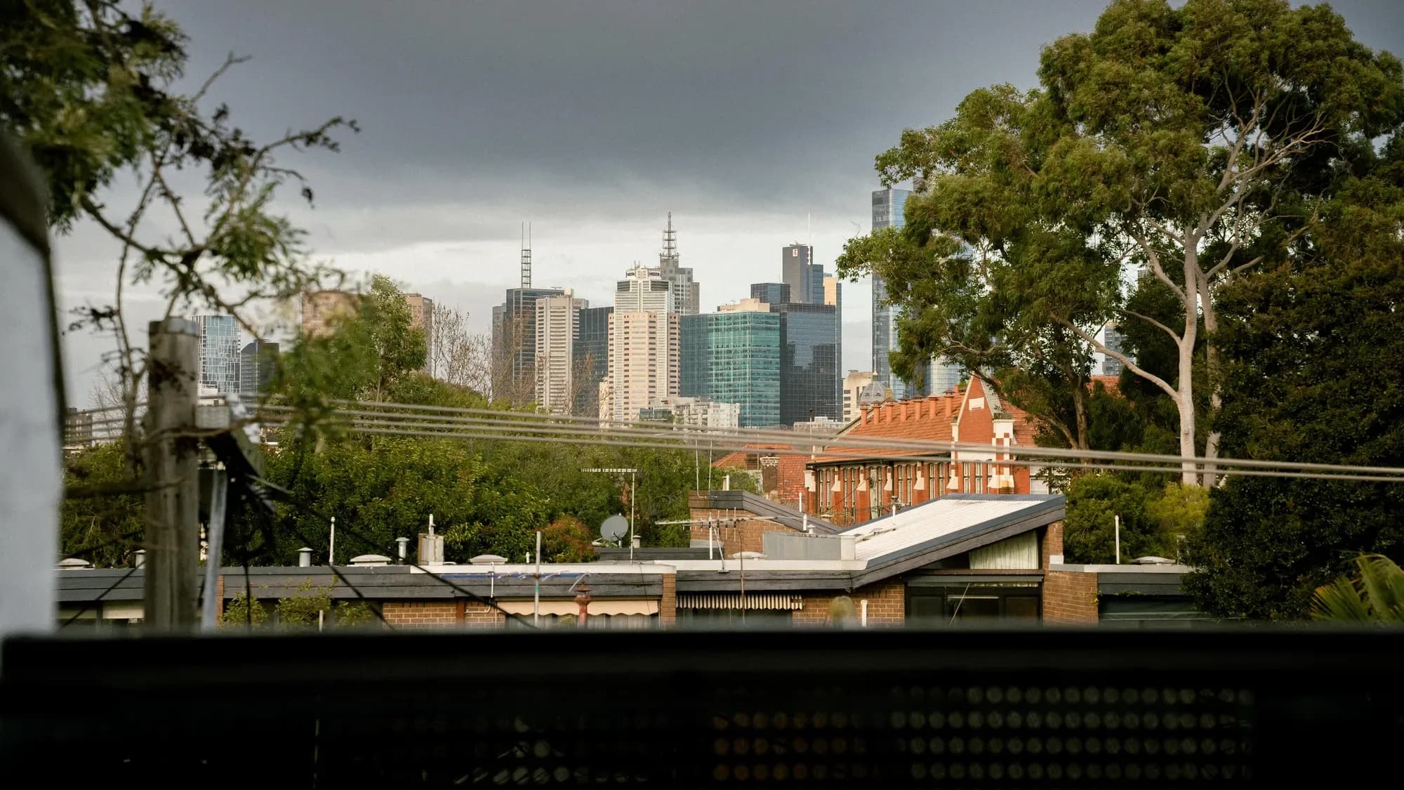 The city skyline seen from the terrace, over rooftops and gum trees