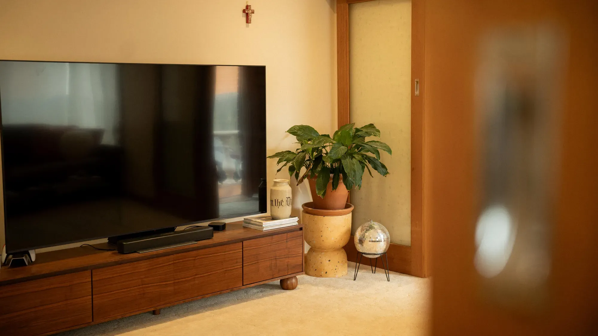 The living room, with a plant beside the television cabinet