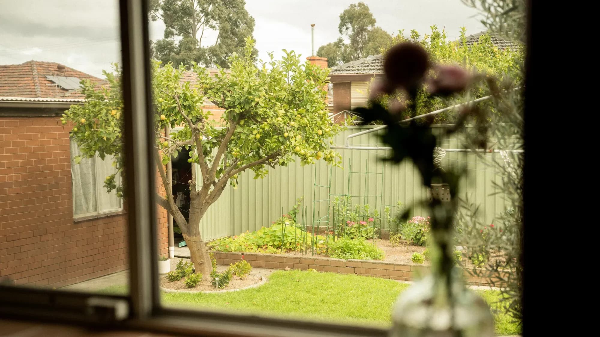 The garden framed by a rose stem in the foreground