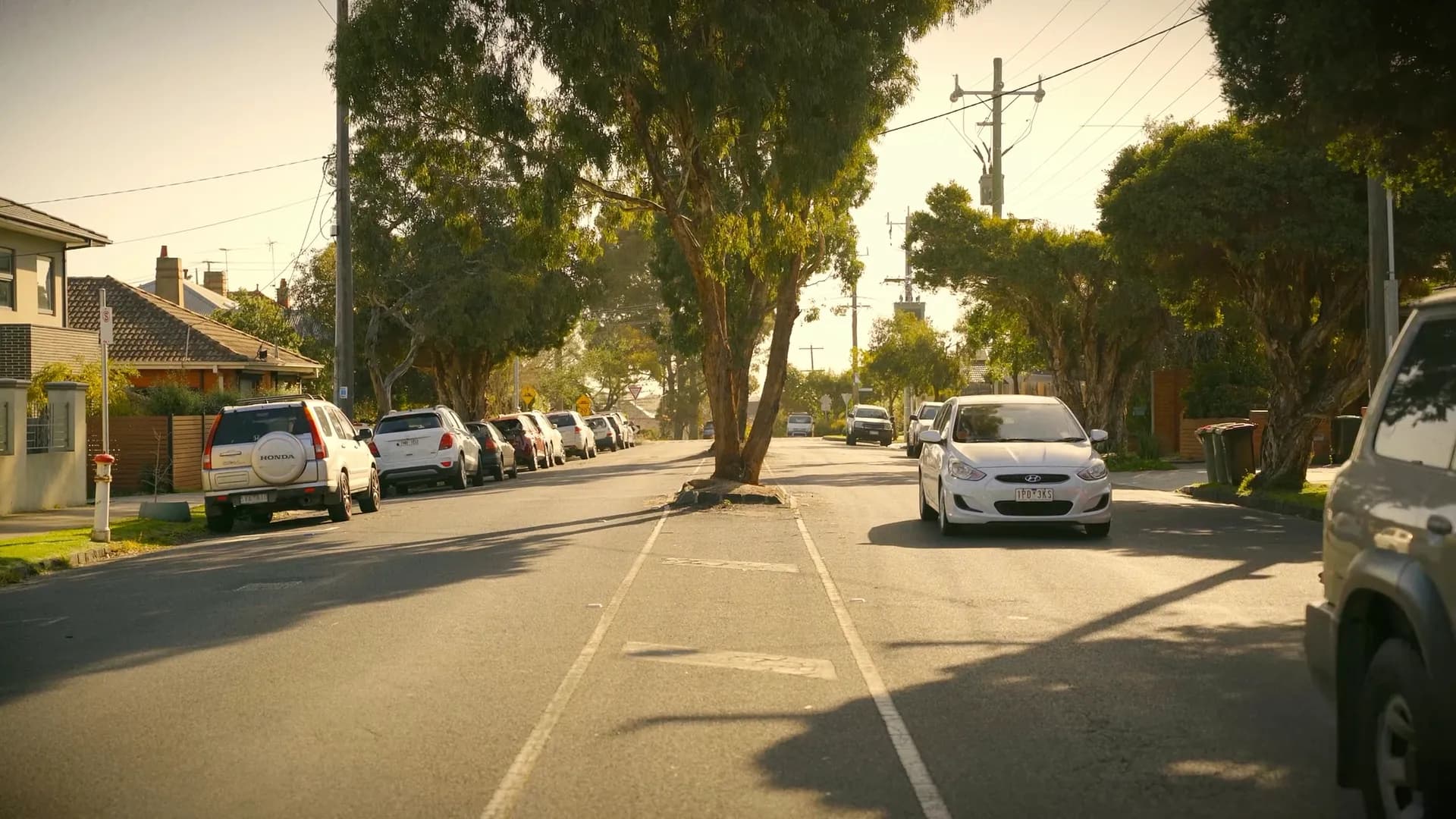 A tree-lined Northside street in late sun, cars parked along the kerb