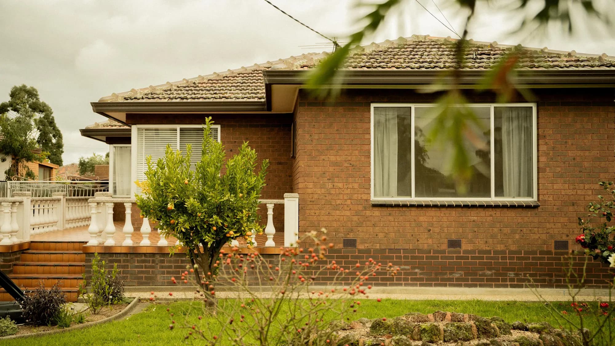 A red-brick bungalow behind a white balustrade, a citrus tree on the front lawn