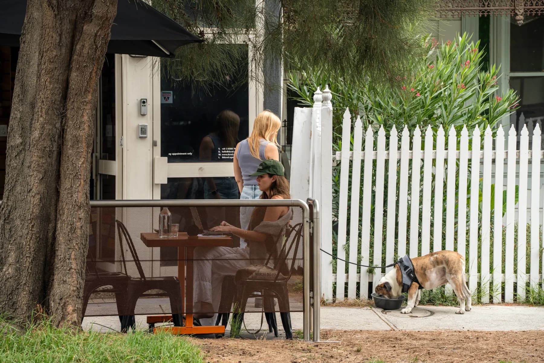 Two people and a dog at a cafe table behind a white picket fence