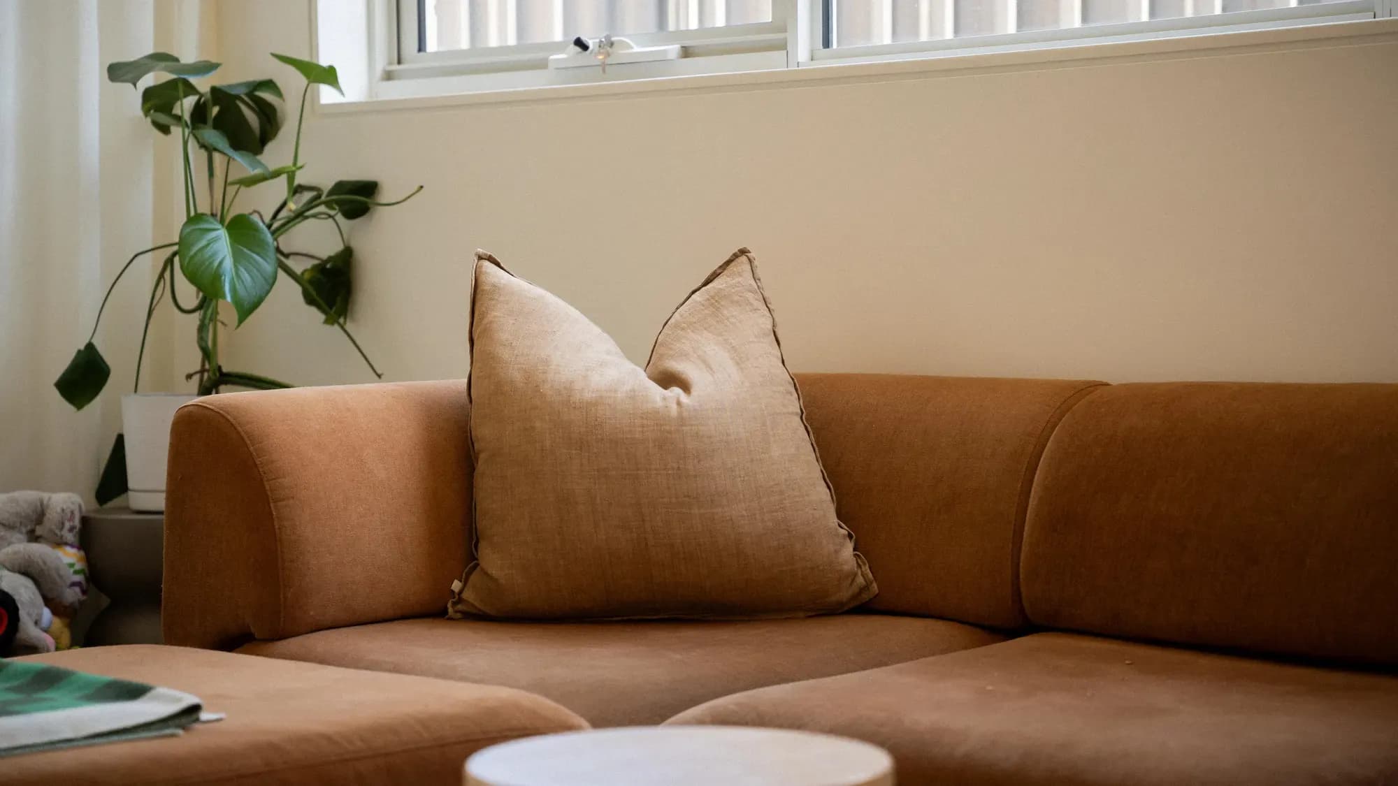 A tan sofa under high windows, a monstera in the corner