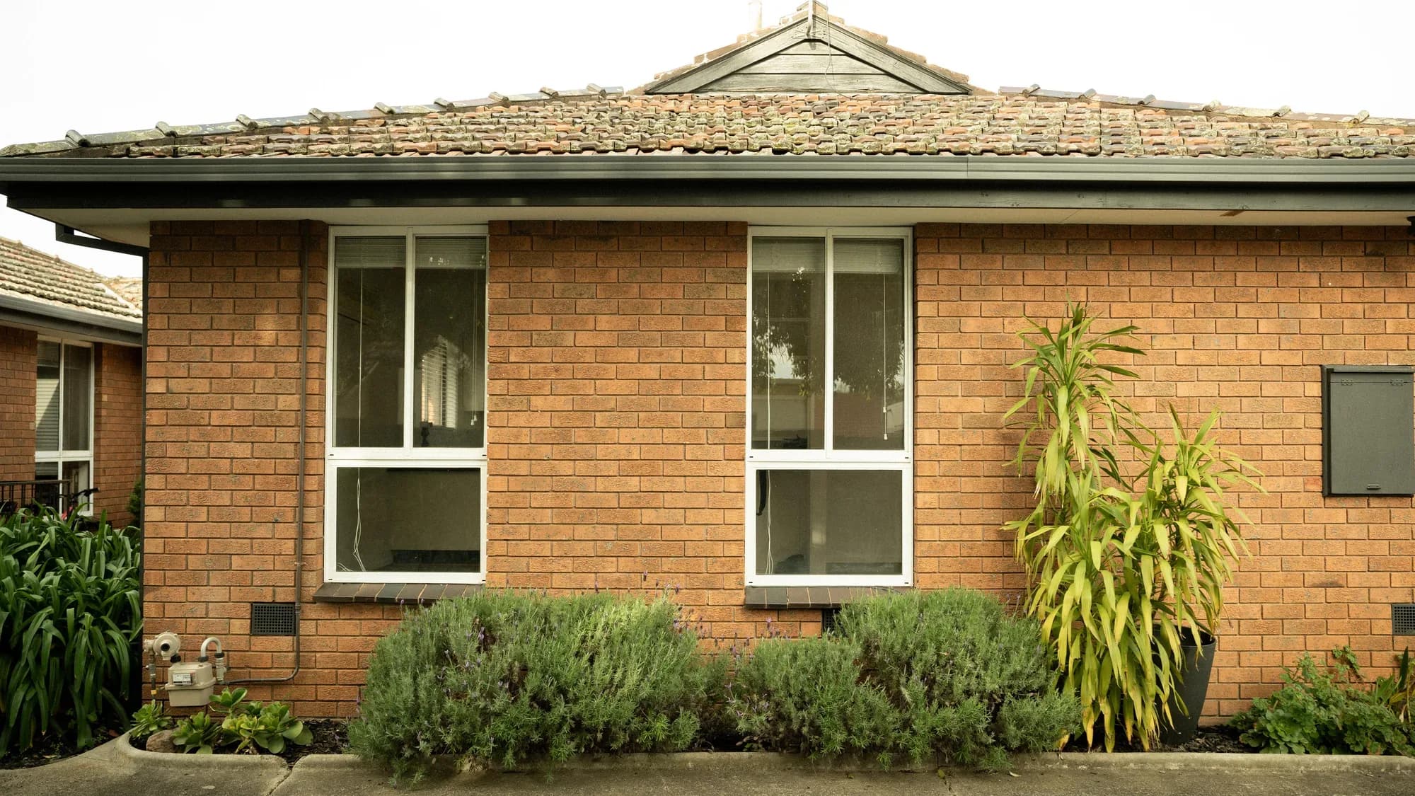 A red-brick villa unit, two white-framed windows over a row of lavender and a yucca