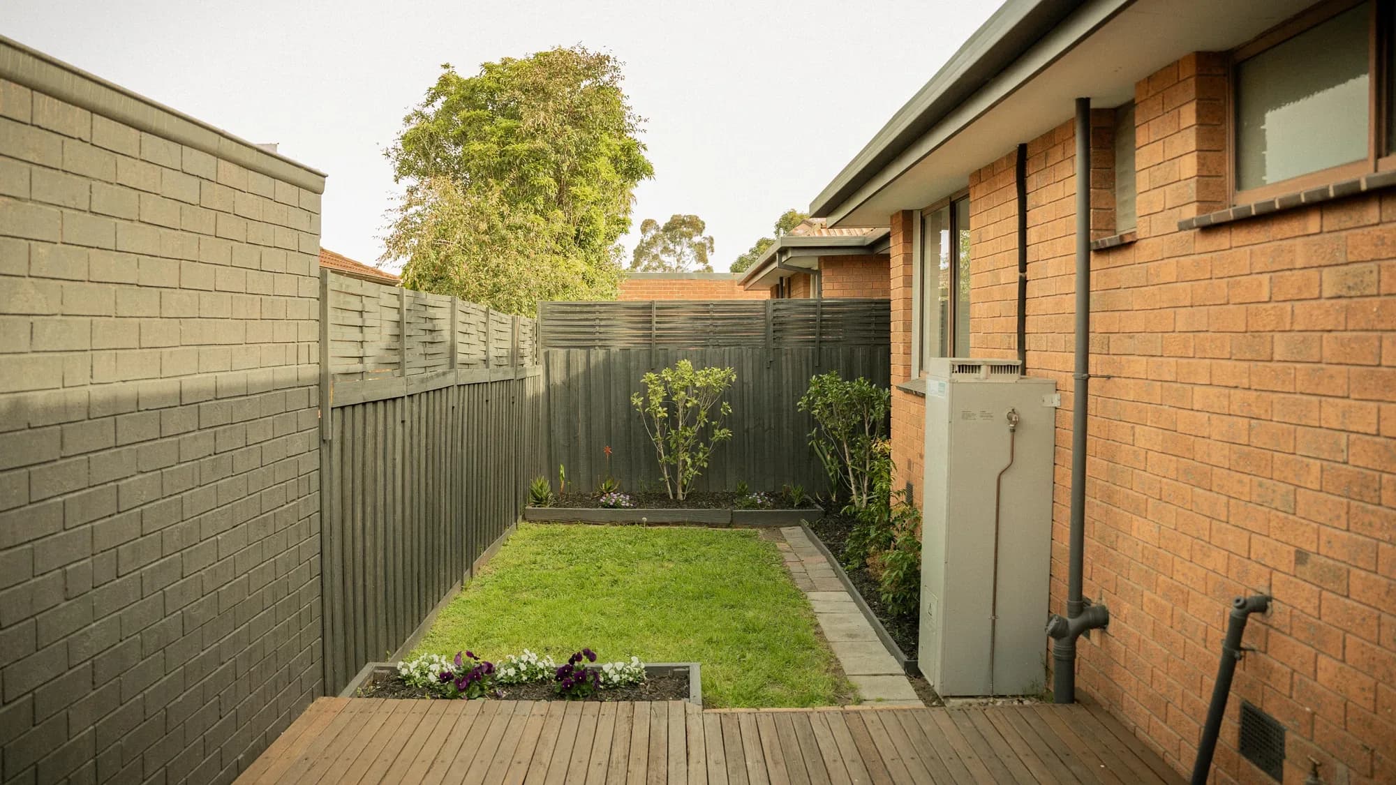 A rear courtyard: a strip of lawn between grey fences, decking and a bed of pansies
