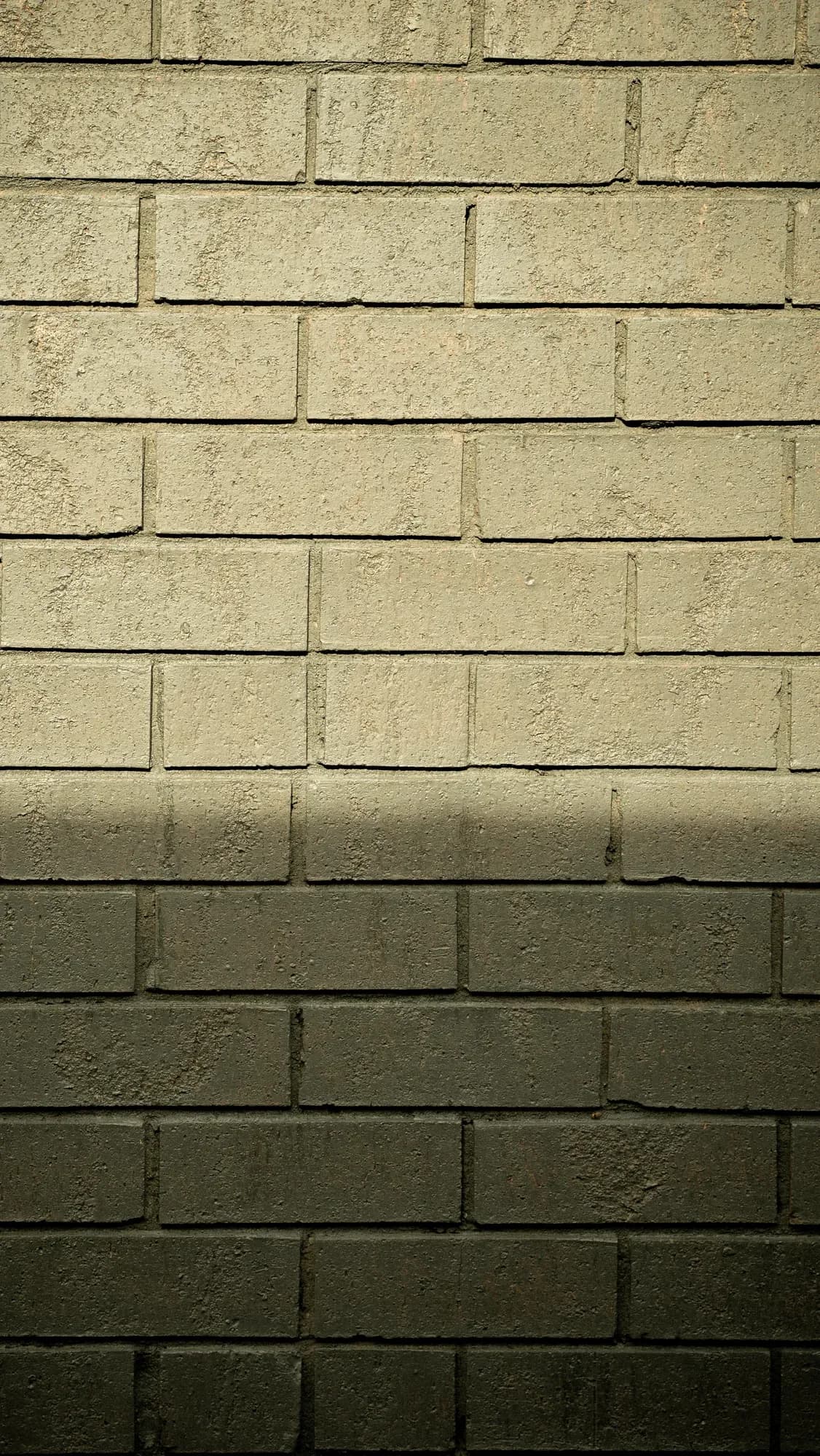 Cream brick wall, half in sun and half in shade